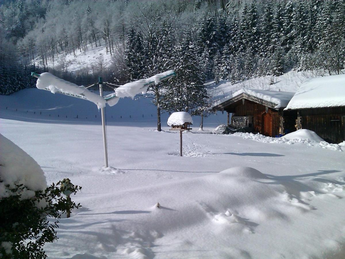 Ferienwohnung Haus Wiesler Aschau im Chiemgau Exteriör bild